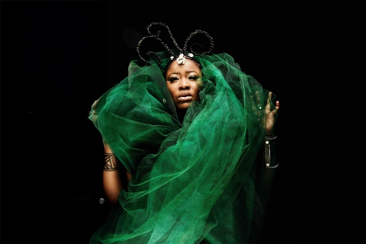 Kirstenbosch Summer Sunset Concerts - Thandiswa Mazwai